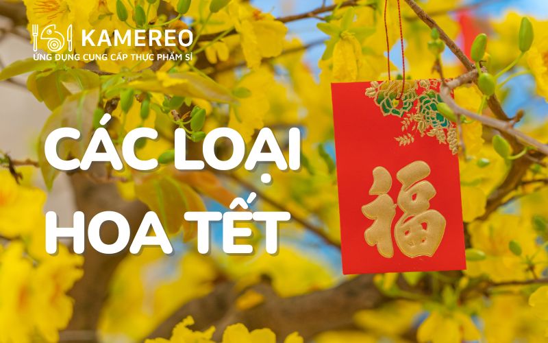 các loại hoa tết