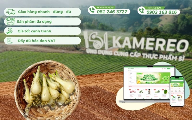 Kamereo - Ứng dụng cung cấp thực phẩm sỉ tối ưu cho doanh nghiệp F&B
