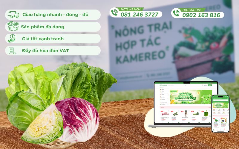 Kamereo - Ứng dụng cung cấp rau củ sỉ tối ưu cho doanh nghiệp F&B