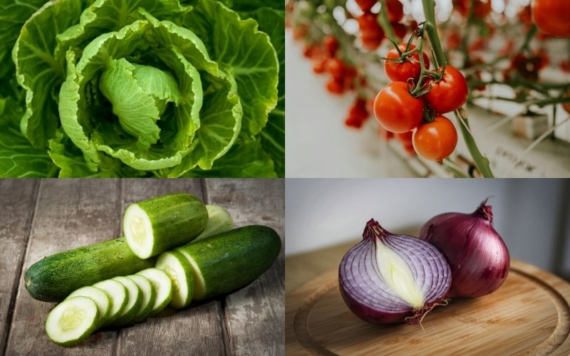 Cách chọn mua nguyên liệu làm salad xà lách trộn dầu giấm