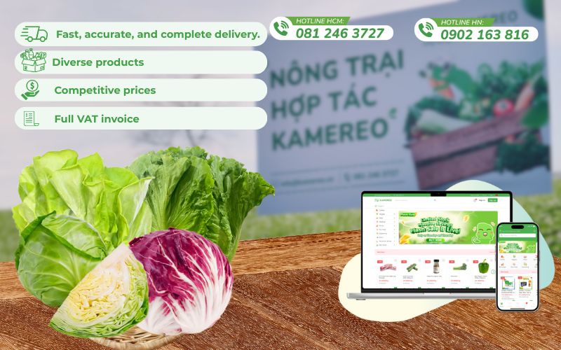 Kamereo - The optimal wholesale vegetable and fruit supplier app for F&B businesses.
