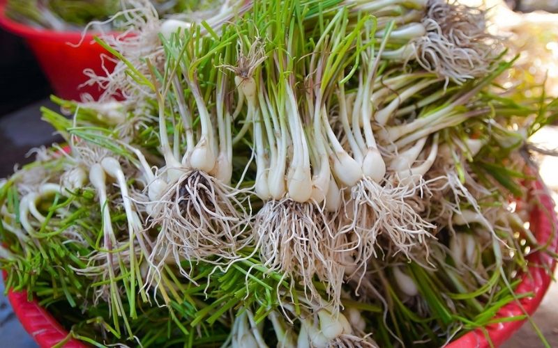 Choosing the right shallots will help make your pickled shallots crispy, delicious, and authentic.