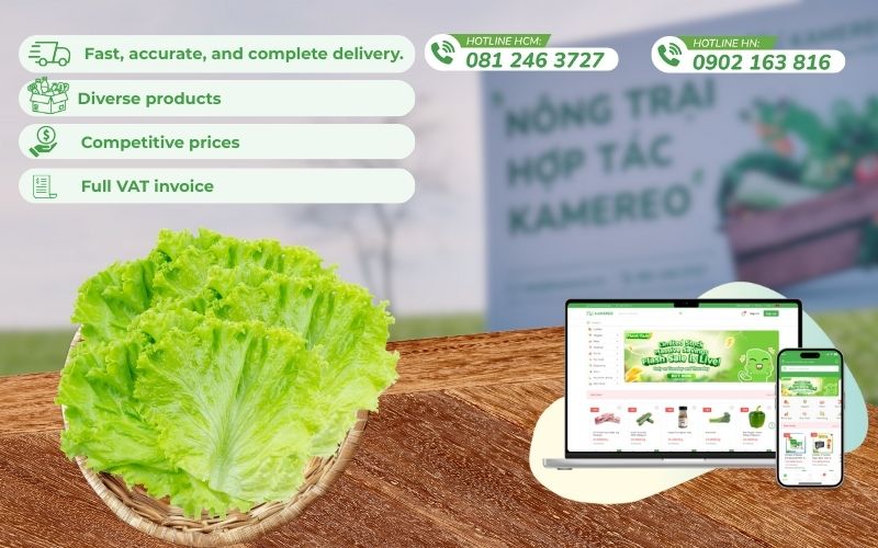Kamereo - An application providing high-quality wholesale vegetables and fruits with full VAT for restaurants.