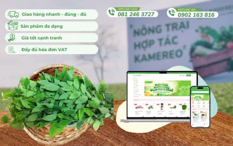 Lợi ích sức khỏe của canh rau ngót thịt bò