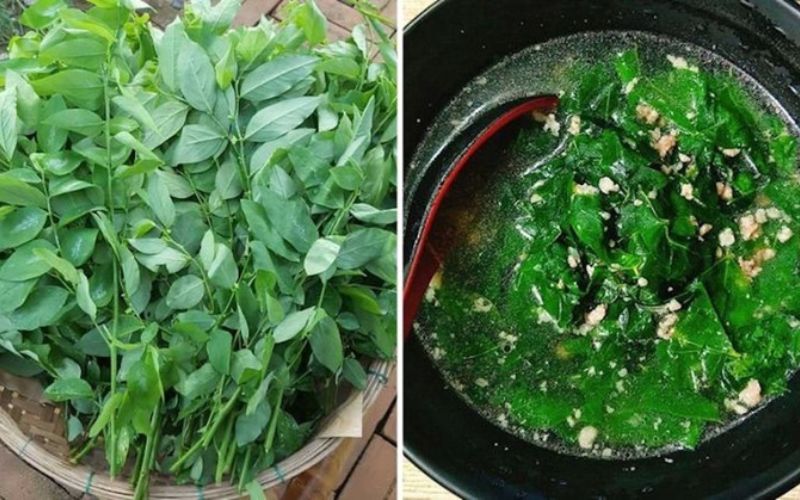Health benefits of beef and water spinach soup