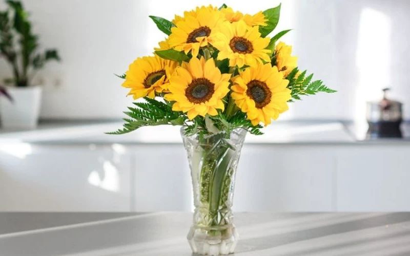 Sunflowers displayed during Tet symbolize wealth and health.