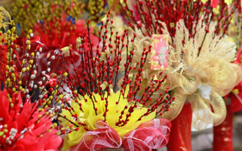 The apricot blossoms displayed during Tet symbolize wealth and good fortune.