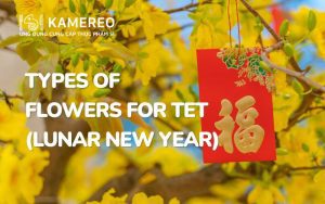 types of flowers for Tet