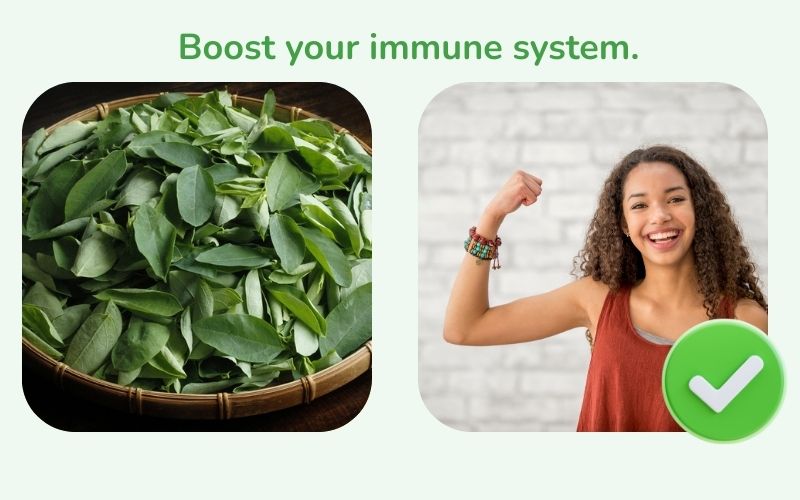 Sweet potato leaves help Boost the immune system