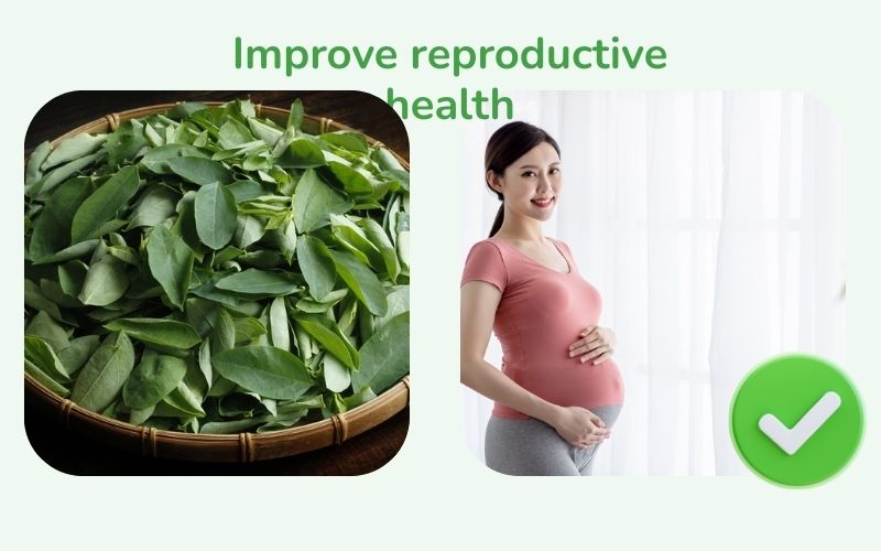 Sweet potato leaves helpimprove reproductive health