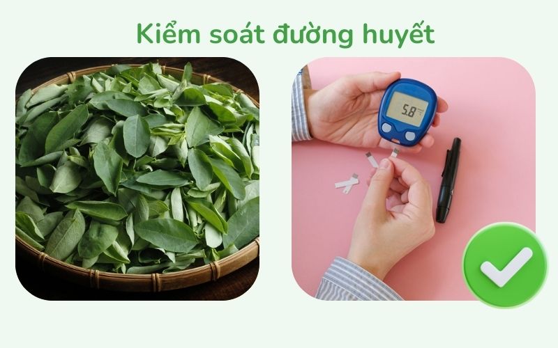 Rau ngót giúp kiểm soát đường huyết