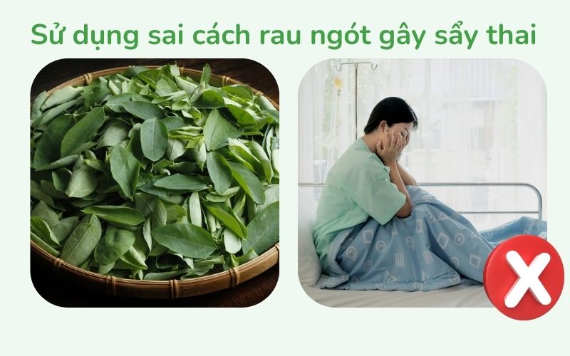 Sử dụng sai cách rau ngót có thể gây sẩy thai