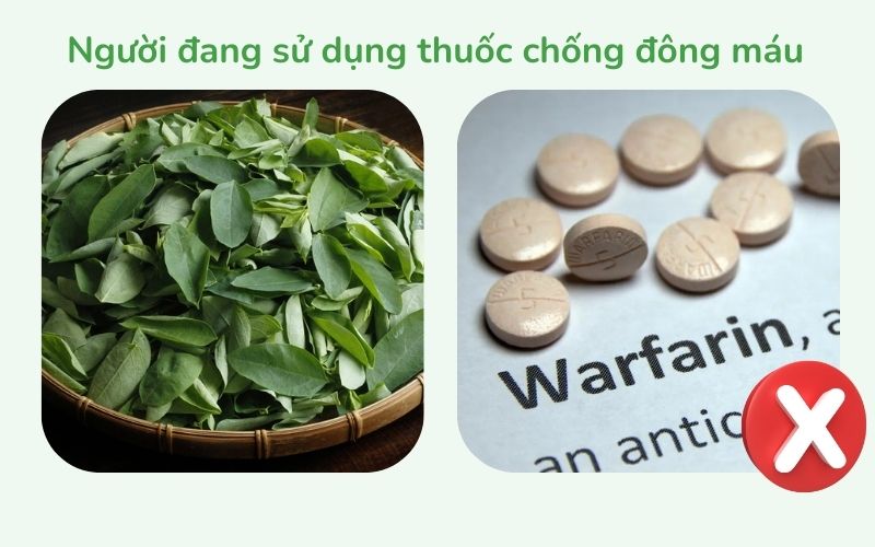 Người đang sử dụng thuốc chống đông máu không nên ăn rau ngót