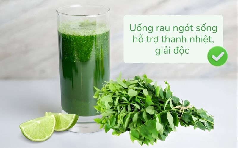 Uống rau ngót sống hỗ trợ thanh nhiệt, giải độc
