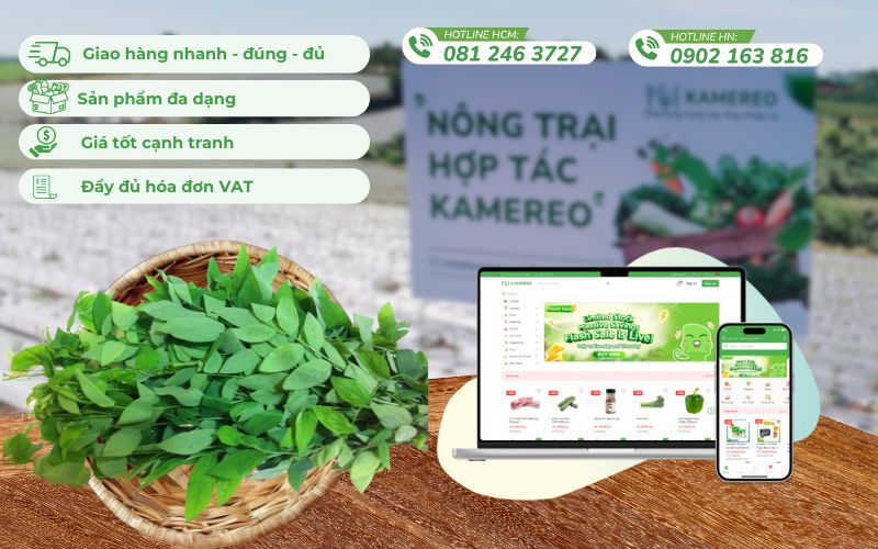 Kamereo - Ứng dụng cung cấp thực phẩm sỉ tối ưu cho doanh nghiệp F&B
