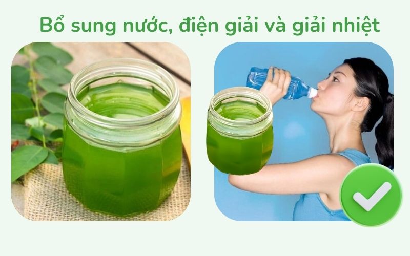 Nước dừa kết hợp rau ngót giúp bổ sung nước và điện giải, giải nhiệt cơ thể