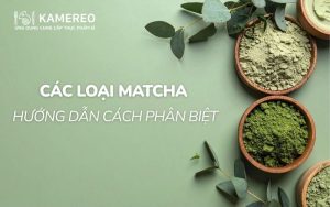 các loại matcha