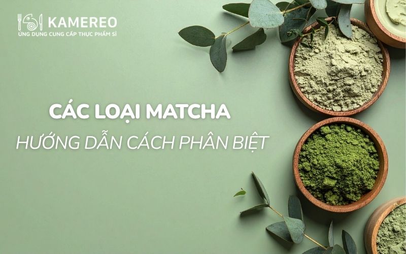 các loại matcha
