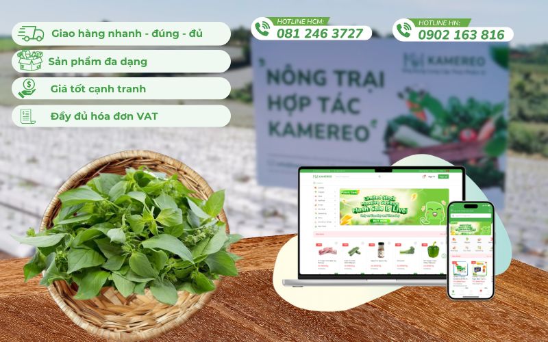 Kamereo - Ứng dụng cung cấp thực phẩm sỉ tối ưu quy trình thu mua cho doanh nghiệp F&B