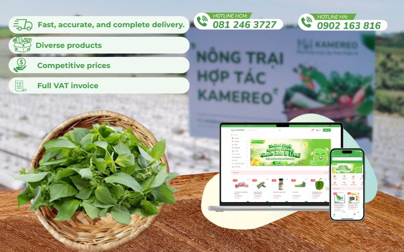 Kamereo - An application providing wholesale food sourcing that optimizes the procurement process for F&B businesses.