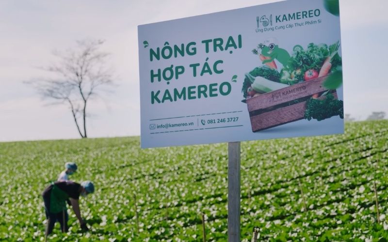Kamereo hợp tác với các nông trại tại vùng trồng trọng điểm đảm bảo nguồn cung nông sản ổn định
