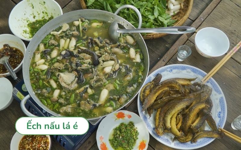 Ếch nấu lá é đậm đà hấp dẫn
