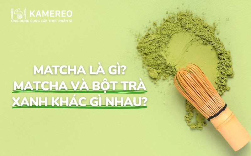 Matcha là gì? Matcha và bột trà xanh có gì khác nhau?