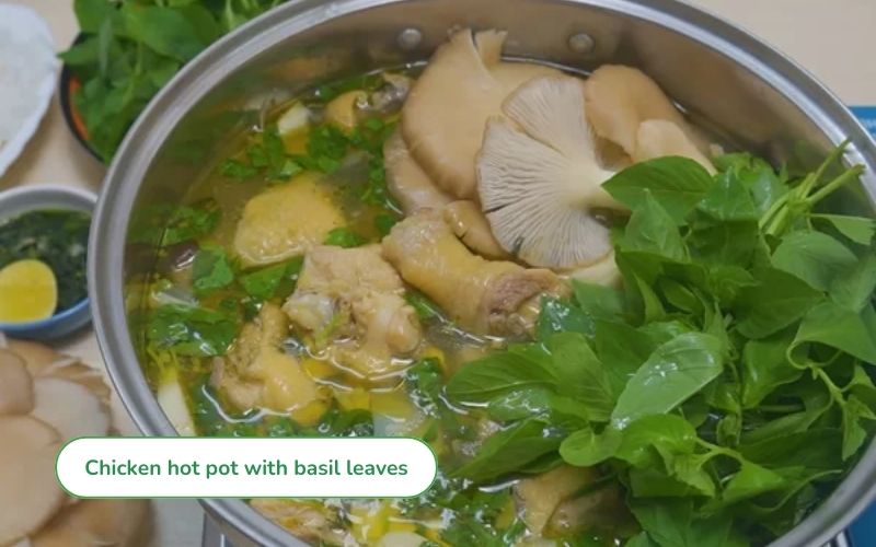 Hot and delicious chicken hot pot with basil leaves