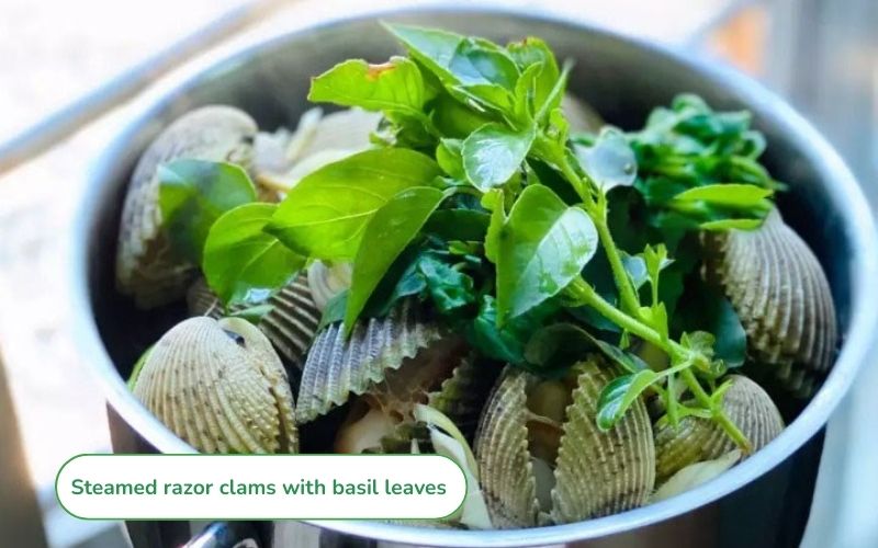 Steamed clams with white basil leaves