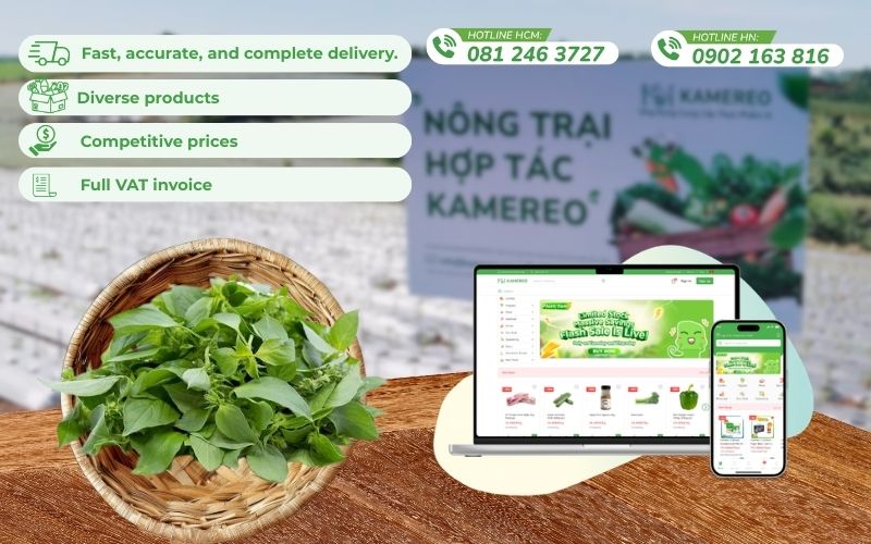 Kamereo - An application providing wholesale basil leaves with full VAT invoices for F&B businesses.