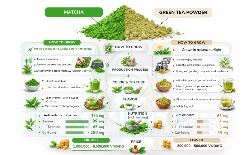 Both matcha and green tea powder come from green tea leaves, but the differences lie in how they are cultivated, their production processes, flavors, and nutritional content.