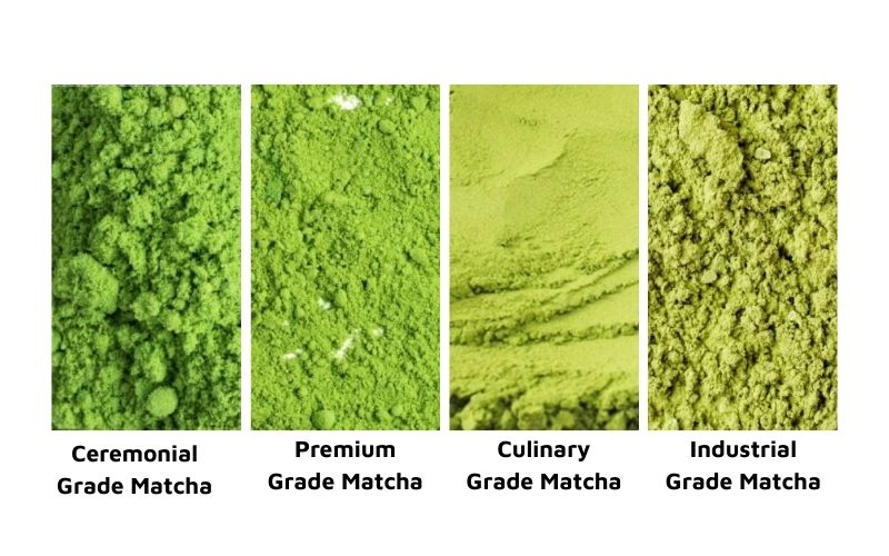 Matcha comes in various types, each suited for different purposes.