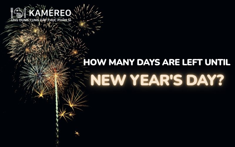 How many days are left until New Year's Day? Countdown to New Year's ...