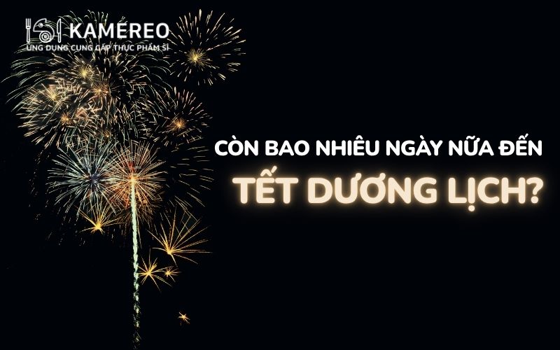 Còn bao nhiêu ngày nữa đến Tết Dương lịch (Tết Tây)? Đếm ngược Tết Dương lịch 2027