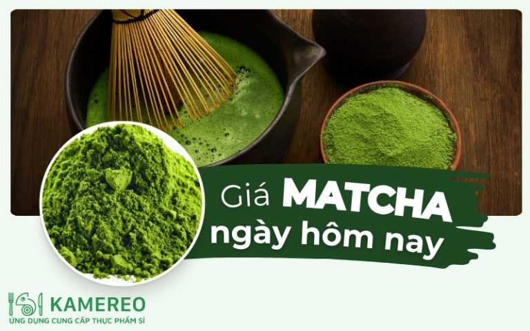 Giá bột matcha bao nhiêu? Cập nhật bảng giá các loại matcha phổ biến trên thị trường