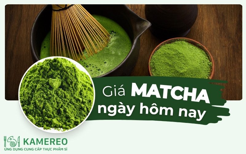 Giá bột matcha bao nhiêu? Cập nhật bảng giá các loại matcha phổ biến trên thị trường