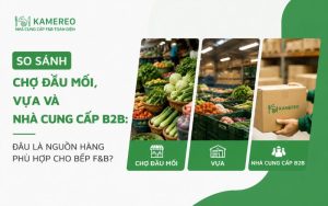 So Sánh Chợ Đầu Mối Vựa Và Nhà Cung Cấp B2B