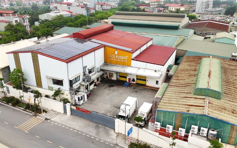 ACE Foods - Nhà nhập khẩu và phân phối thực phẩm uy tín tại Việt Nam