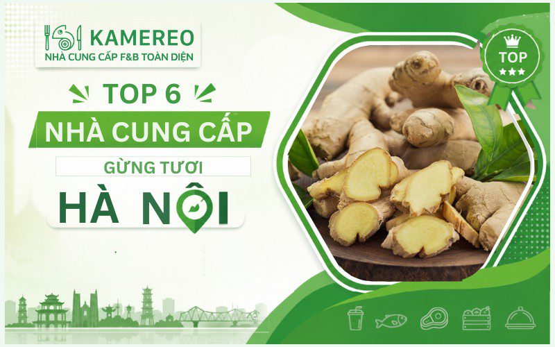 Nhà cung cấp gừng tươi Hà Nội