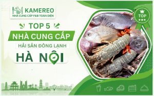 cung cấp hải sản đông lạnh hà nội
