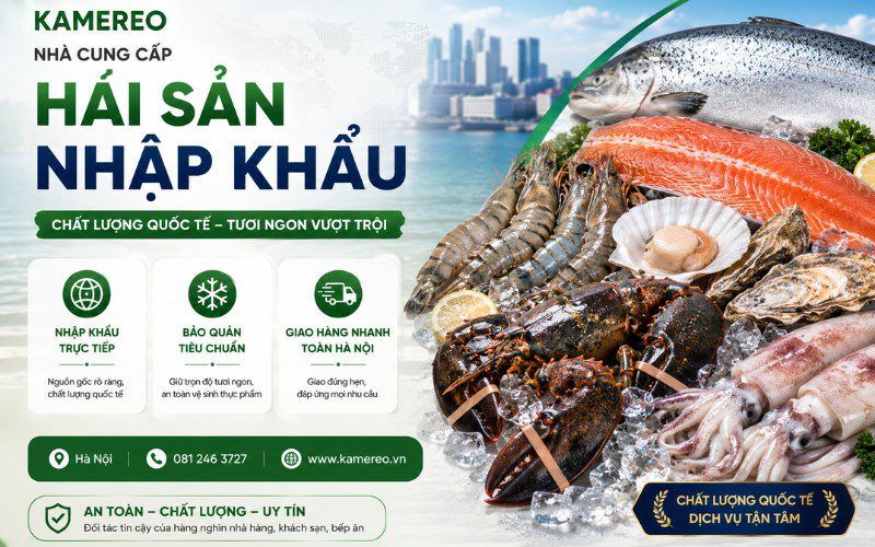 Kamereo cung cấp sỉ hải sản nhập khẩu Hà Nội chất lượng, giá tốt nhờ quy trình công nghệ tối ưu
