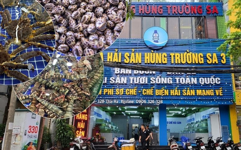 Hải sản Hùng Trường Sa cung cấp đa dạng hải sản tươi sống, nhập khẩu và dịch vụ sơ chế theo yêu cầu tại Hà Nội