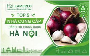 cung cấp hành tỏi trung quốc hà nội