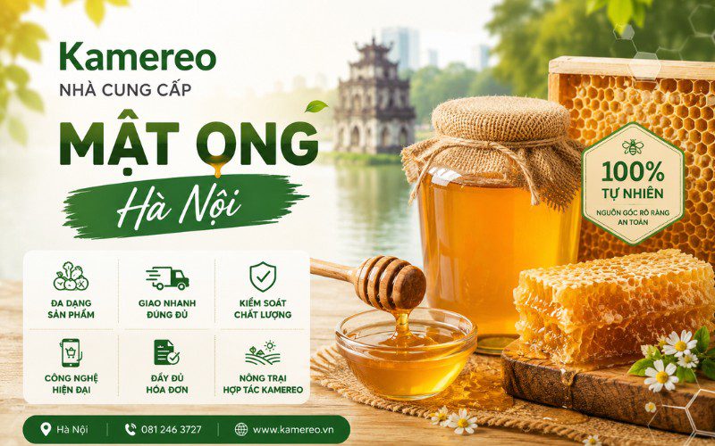 Kamereo là đơn vị sở hữu nguồn hàng chất lượng, quy trình tối ưu, giá thành cạnh tranh
