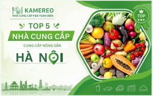 Nguồn cung cấp nông sản Hà Nội chất lượng, an toàn