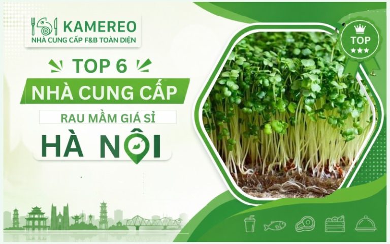 Nhà cung cấp rau mầm giá sỉ Hà Nội chất lượng