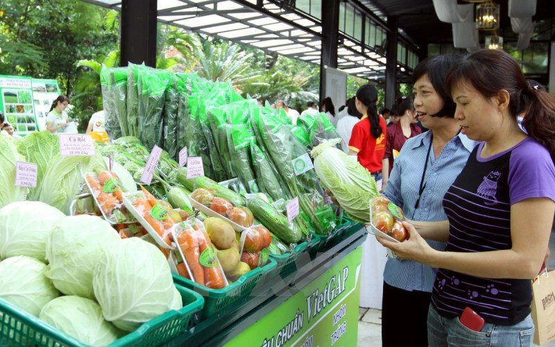 FujiFoods – đơn vị cung cấp thịt bò Fuji và thực phẩm tiêu chuẩn Nhật Bản