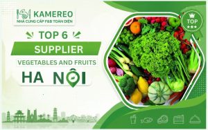 Find reliable suppliers of fruits and vegetables in Hanoi