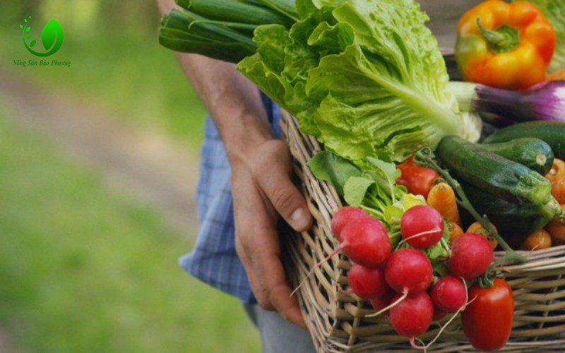 Nông Sản Bảo Phương cung cấp rau củ quả sạch tại Hà Nội