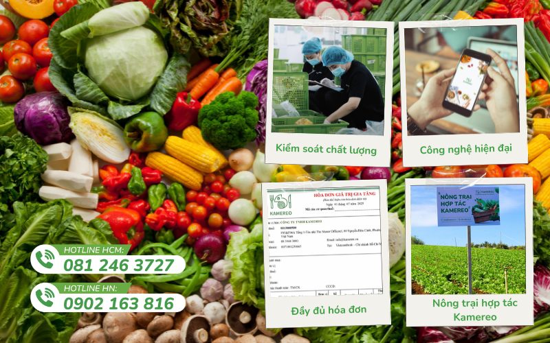 Kamereo cung cấp rau củ sạch giá sỉ, đặt hàng tiện lợi qua app và giao tận bếp đúng hẹn